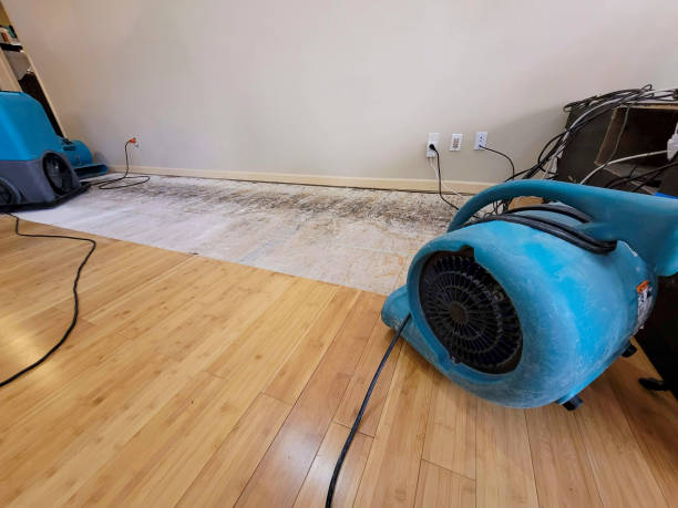 Professional Water Removal technician working in Chatfield, TX